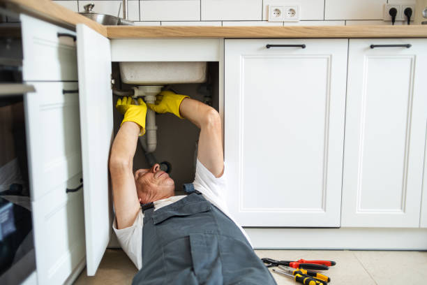 Best Emergency Plumber  in The Crossings, FL