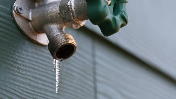 Best Local Plumber Services  in The Crossings, FL