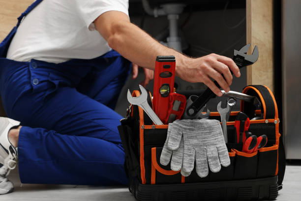Best Affordable Plumbing Services  in The Crossings, FL
